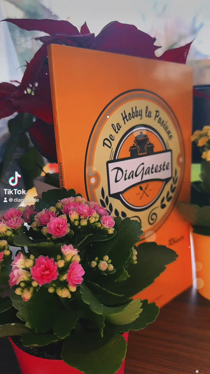 Cartea de Bucate: De la Hobby la Pasiune – de Diana Rösser